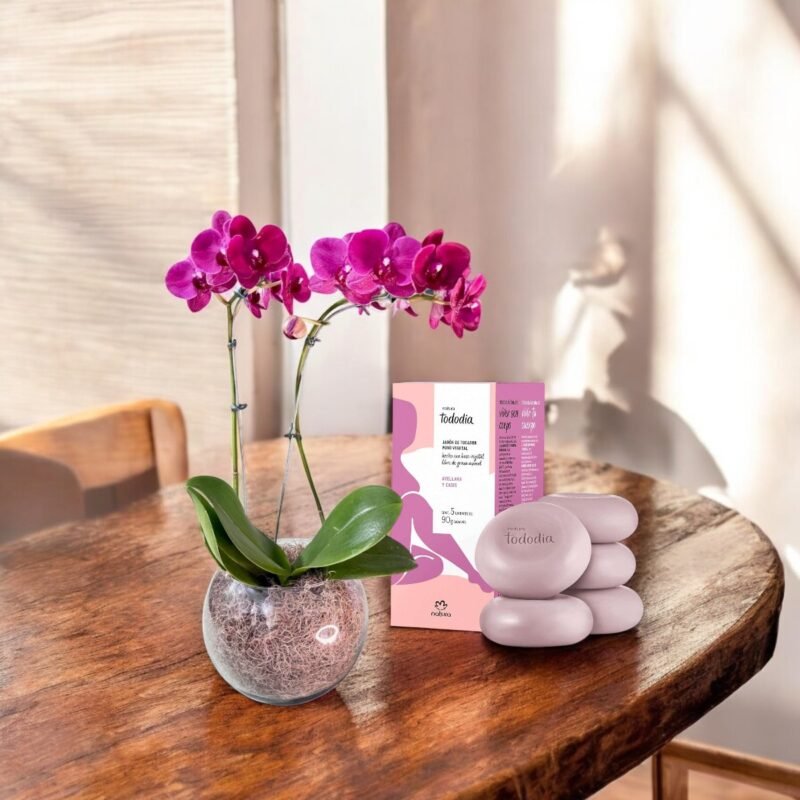 Orquídea Phalaenopsis Roxa no Vaso e Sabonete Natura Tododia