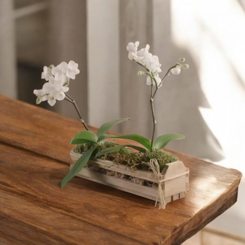 Mini Orquídeas Brancas em Cachepô de Madeira