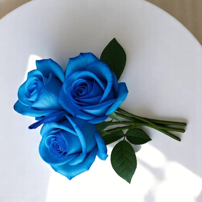 Buquê 3 Rosas Azuis